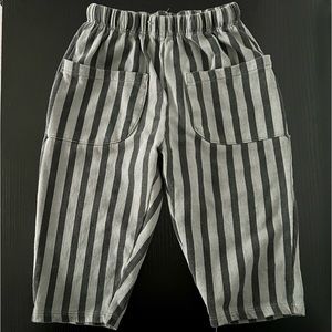 Zara Striped Pants